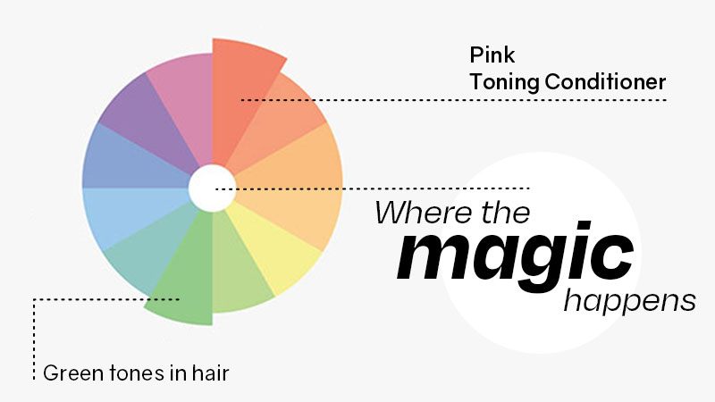 Color wheel showing cancelation of pink tones and green tones in hair